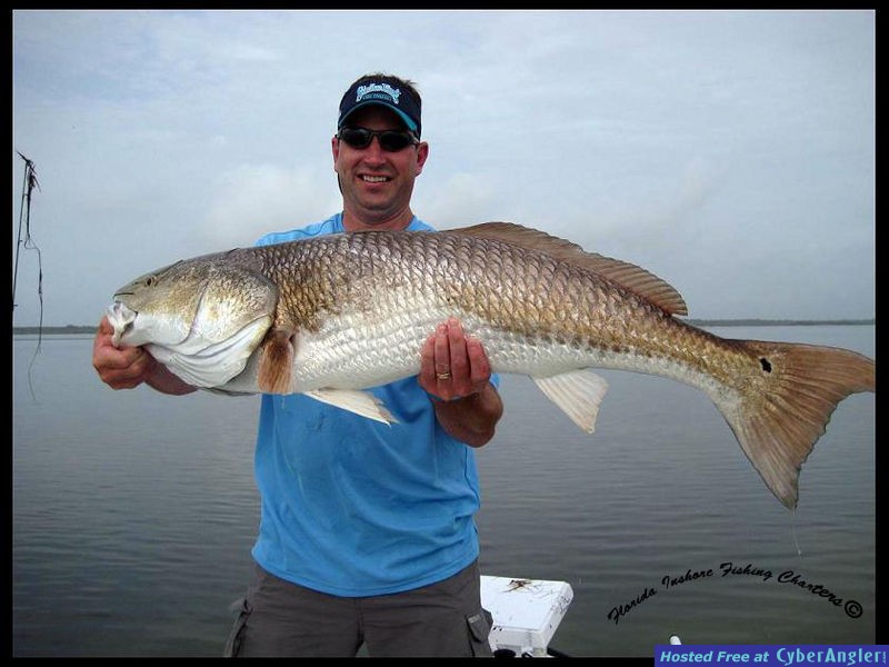 Mosquito Lagoon Redfish