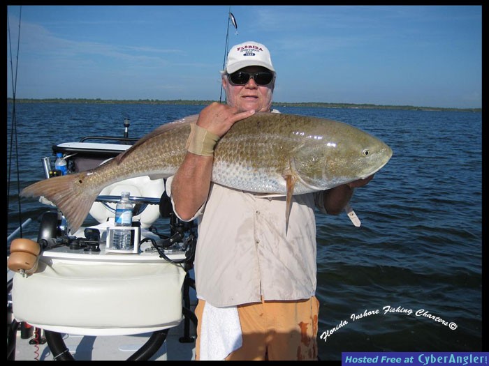 Mosquito Lagoon Redfish
