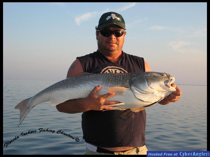 Mosquito Lagoon Redfish