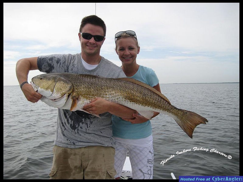 Mosquito Lagoon Redfish