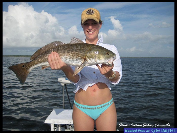 Mosquito Lagoon Redfish