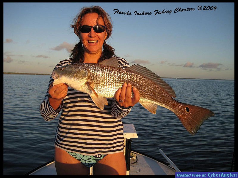 Mosquito Lagoon Redfish