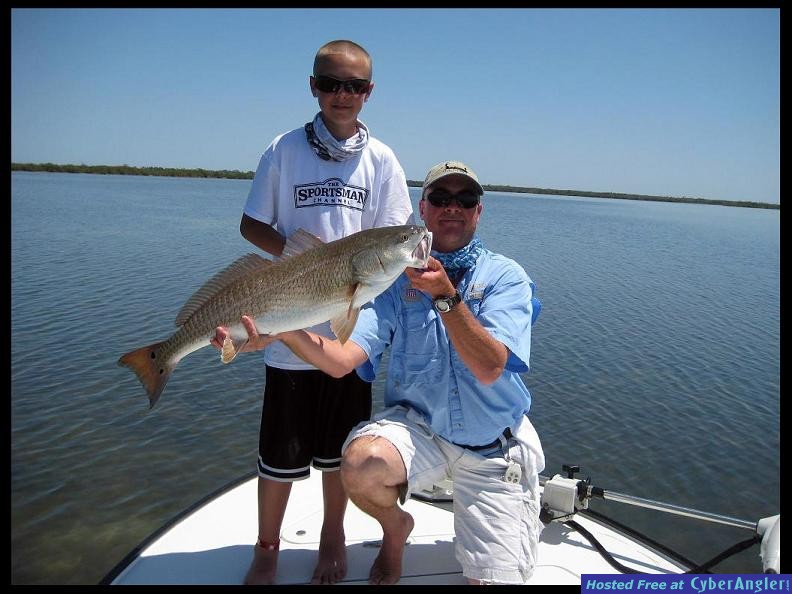 Mosquito Lagoon Redfish