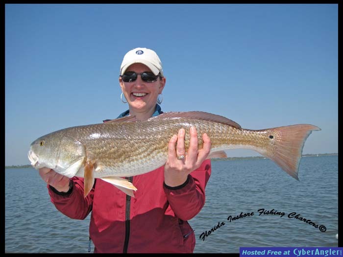 Mosquito Lagoon Redfish