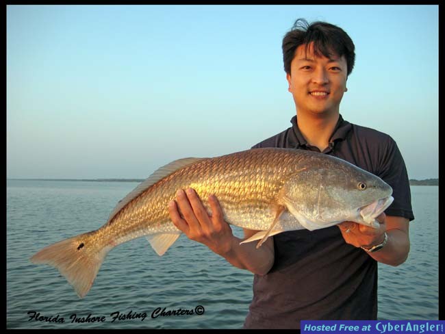 Mosquito Lagoon Redfish