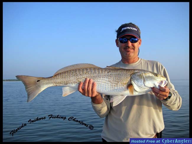 Mosquito Lagoon Redfish