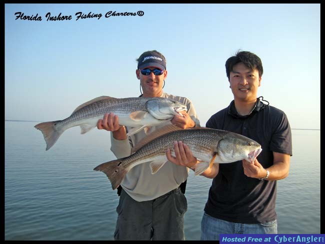 Mosquito Lagoon Redfish