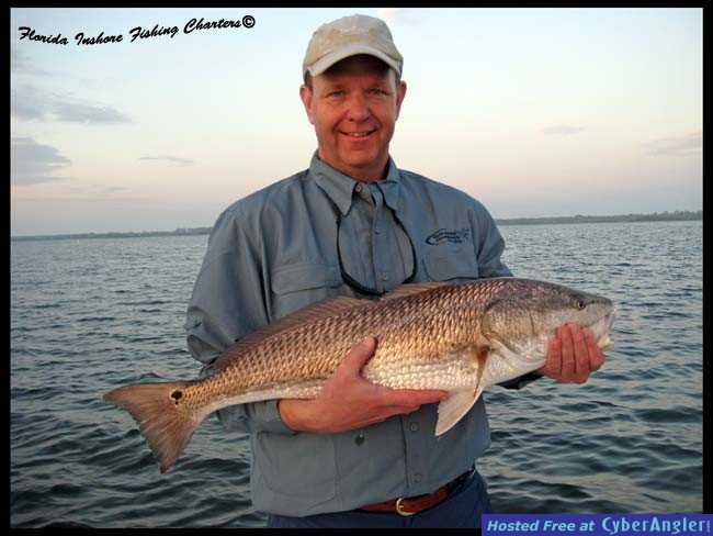 Mosquito Lagoon Redfish