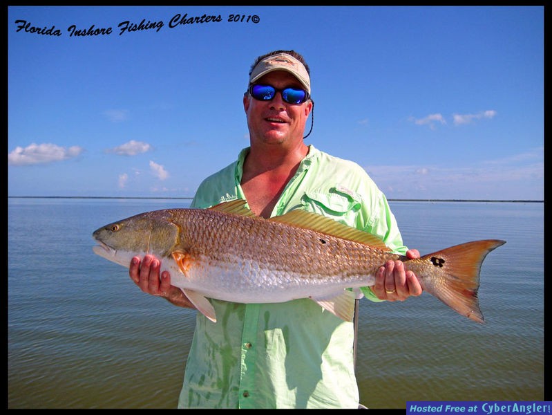 Mosquito Lagoon Redfish