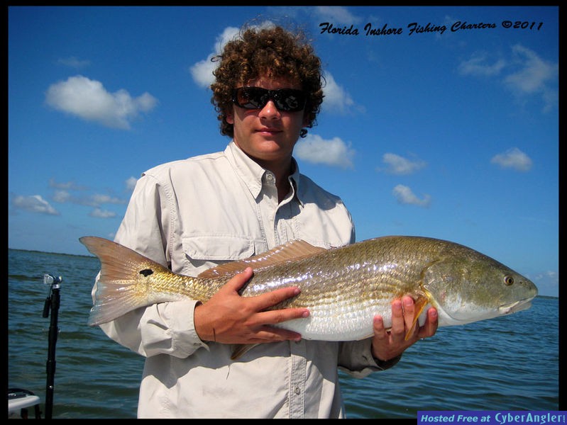 Mosquito Lagoon Redfish
