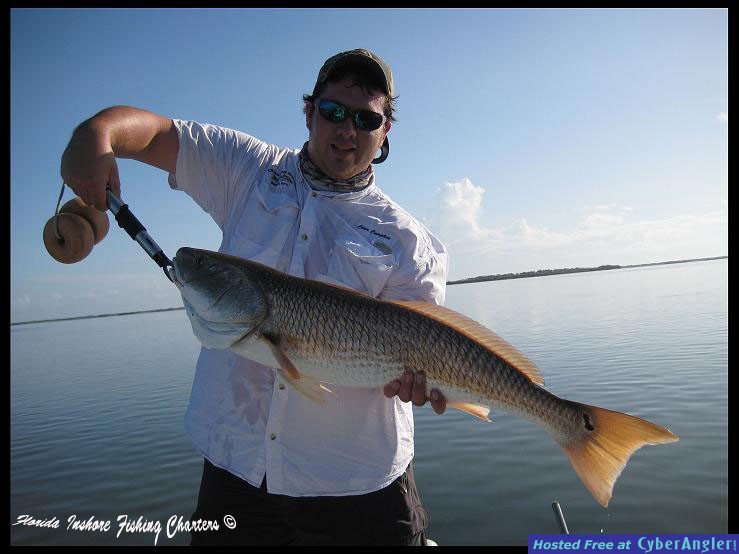 Mosquito Lagoon Redfish