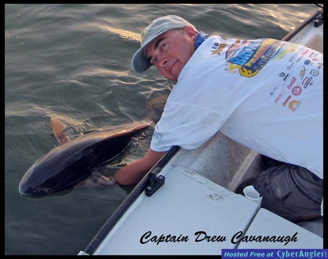 Mosquito Lagoon Redfish
