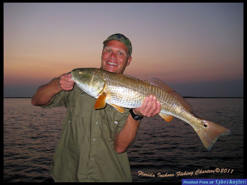 Mosquito Lagoon Redfish