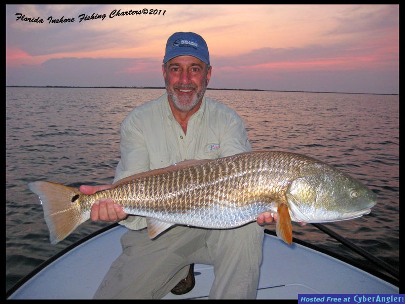 Mosquito Lagoon Redfish
