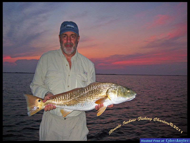 Mosquito Lagoon Redfish