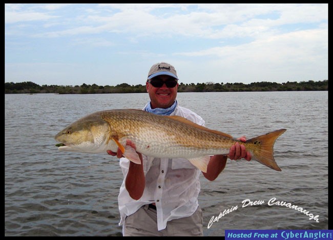 Mosquito Lagoon Redfish