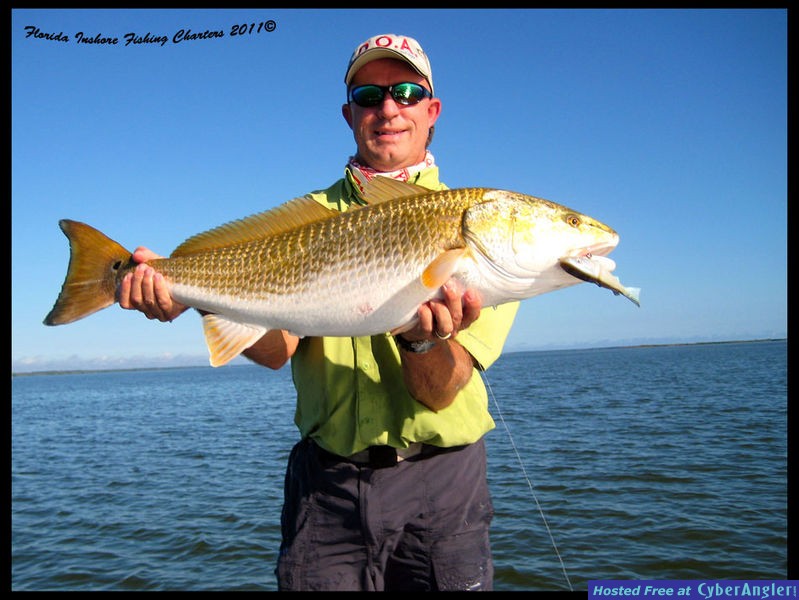 Mosquito Lagoon Redfish