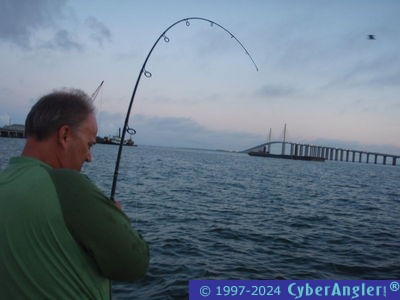 Click to Enlarge Photo