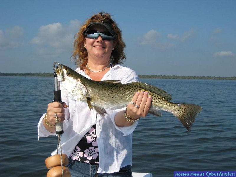 Mosqutio Lagoon Trout