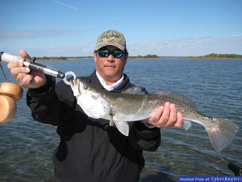Mosqutio Lagoon Trout