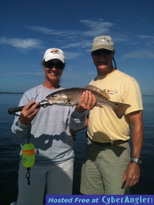 Click to Enlarge Photo