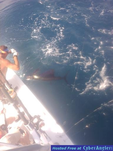 Sailfish John Doer