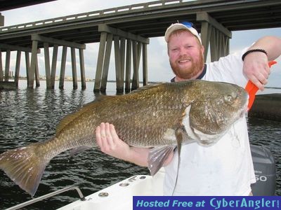 Fishing Tampa Bay