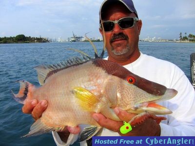 Fishing Adventures on Miami’s Biscayne Bay