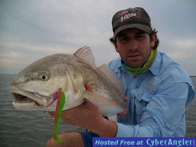 Click to Enlarge Photo