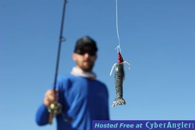 Click to Enlarge Photo