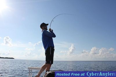 Click to Enlarge Photo