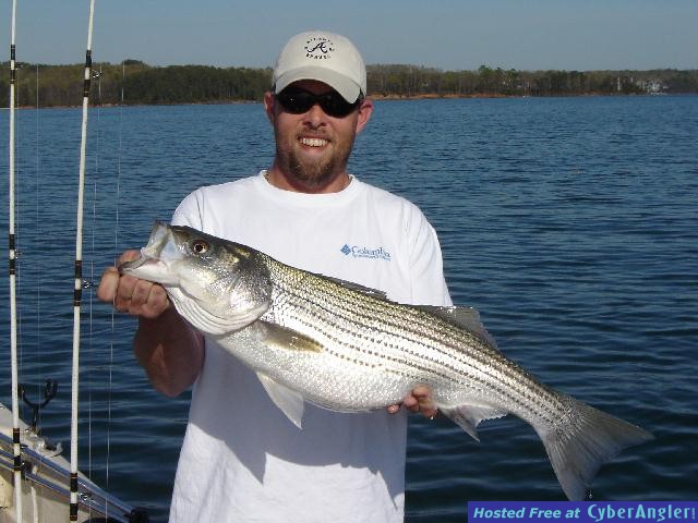 Another Spring time Striper