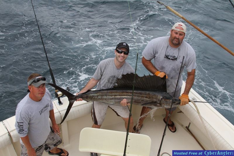 Sailfish