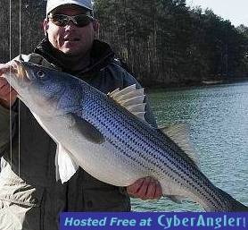 25lb Striped Bass