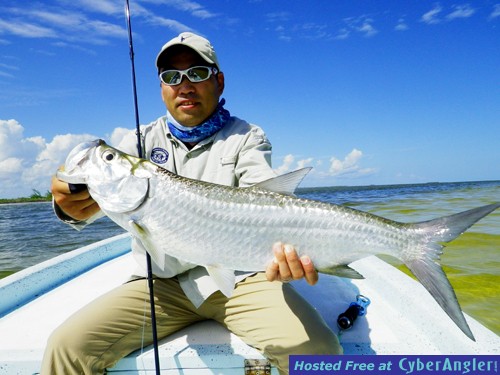 Ascension Bay tarpon @ Pesca Maya lodge