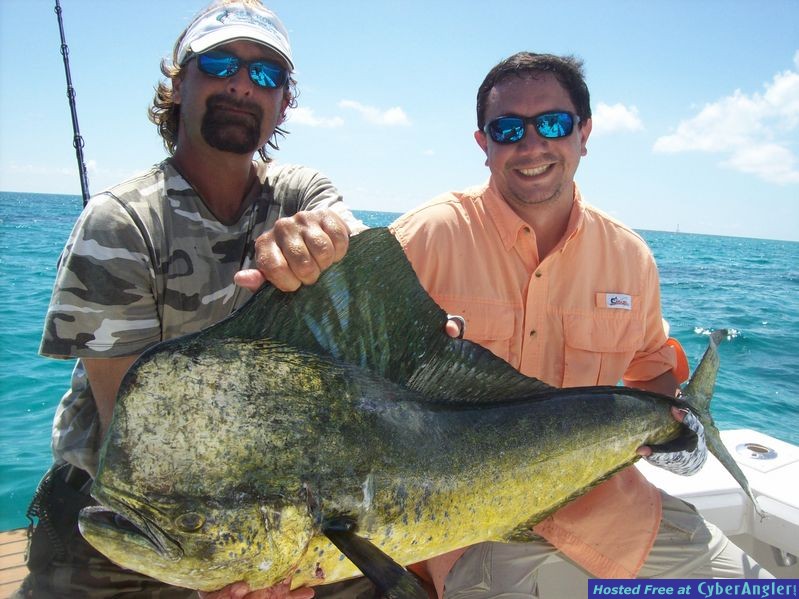 boxjoe2bigmahi