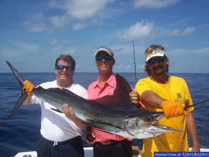 Islamorada SeaHorse baby Blue Marlin