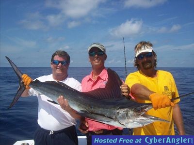 Islamorada SeaHorse baby Blue Marlin