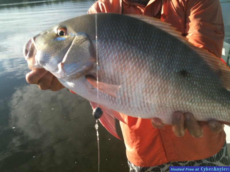 Light Tackle Adventure