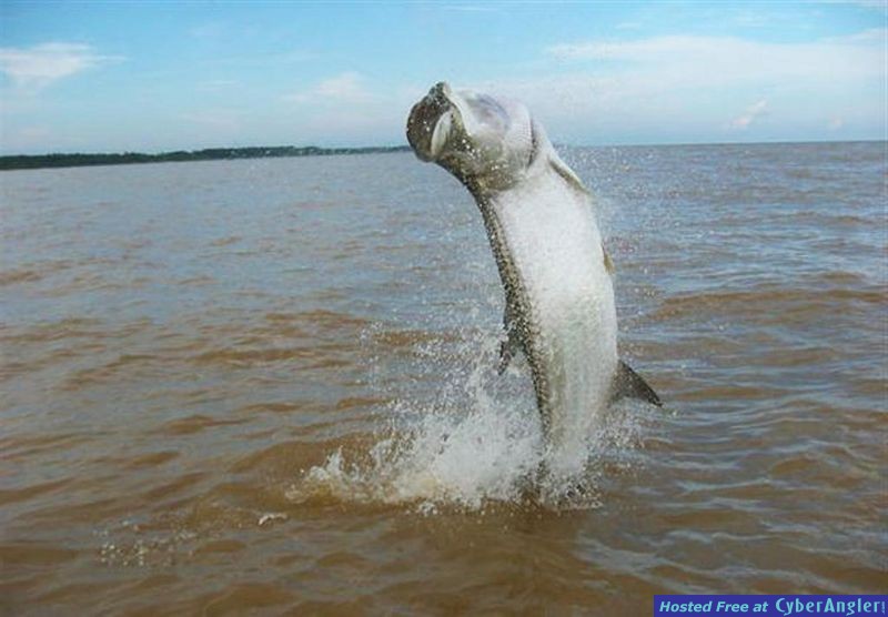 Light Tackle Adventure