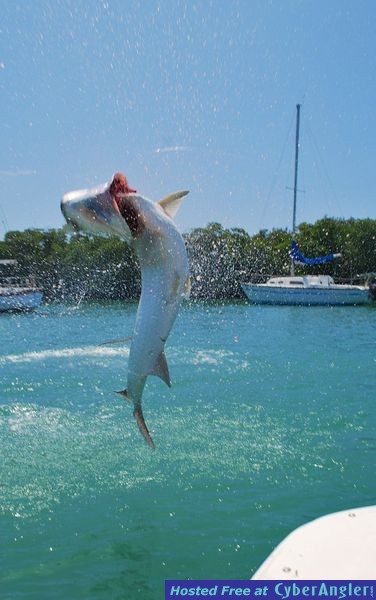 Light Tackle Adventure