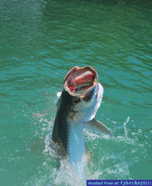 Light Tackle Adventure