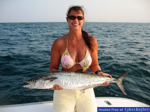 king20mackerel_full