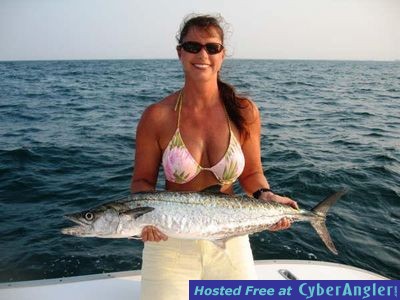 king20mackerel_full