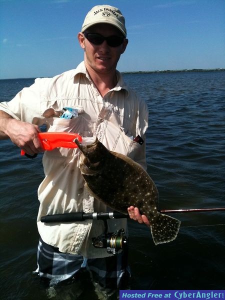 Will_flounder_a