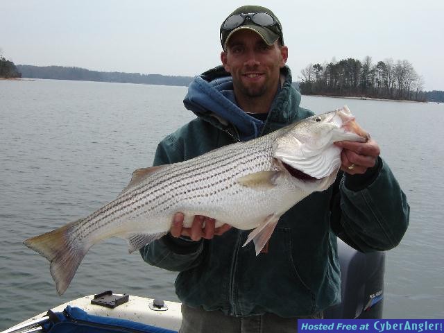 Lanier Striper