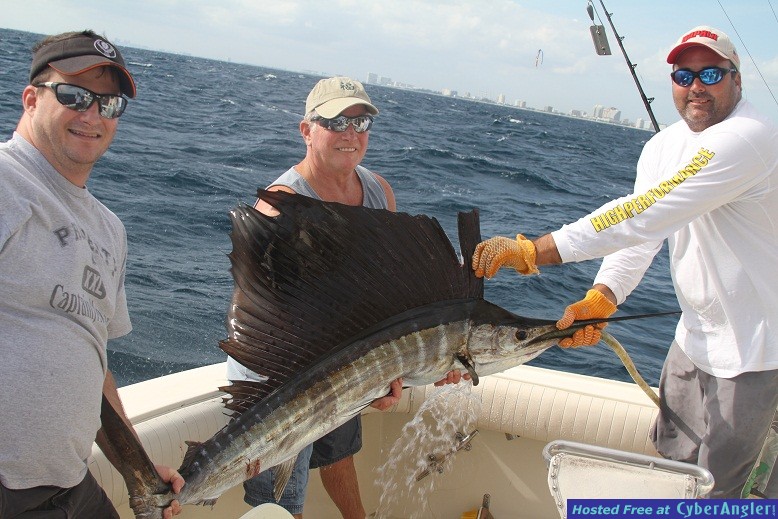 Fort lauderdale sailfishing