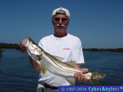 Click to Enlarge Photo