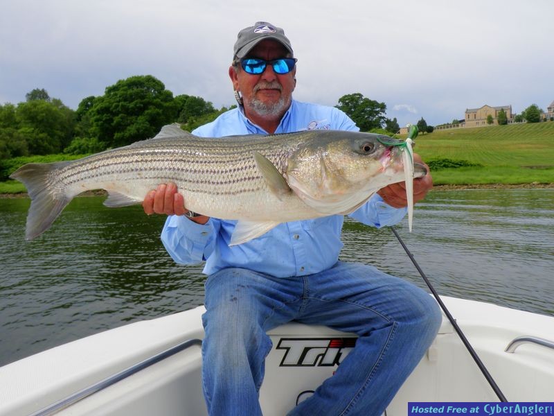 Rhode Island Angling Adventures
