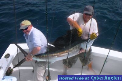 Islamorada Florida sailfish